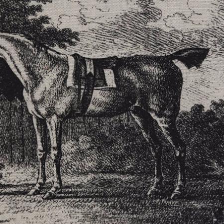 Ткань Lewis & Wood Gilpin Horses