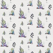  Jab Anstoetz Cactus