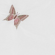  James Hare Butterfly