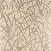  Mulberry Home Grasses
