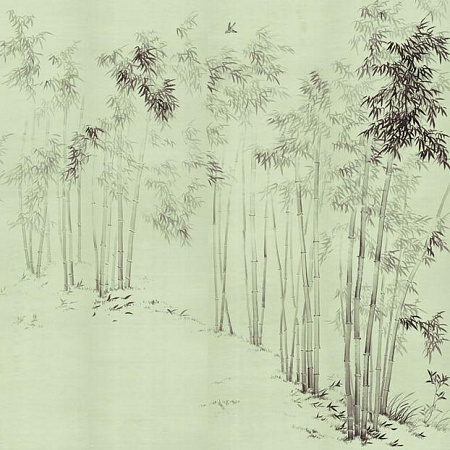 Обои Paul Montgomery Studio Bamboo in Mist
