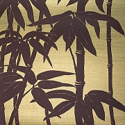  Borderline Japanese Bamboo