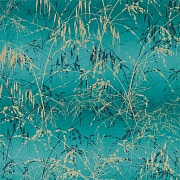  Harlequin Meadow Grass