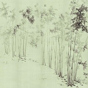  Paul Montgomery Studio Bamboo in Mist
